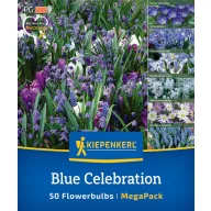 Flower bulb mix Blue Celebration Kiepenkerl 50 pcs