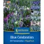 Flower bulb mix Blue Celebration Kiepenkerl 50 pcs