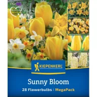   Virághagyma Mix (Tulipán-Nárcisz-Krókusz-Jácint) Sunny Bloom Kiepenkerl 28 db