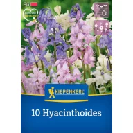   Virághagyma Spanyol kékcsengő Mix (Hyacintoides) Kiepenkerl 10 db