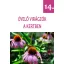 Perennial flowering plants in the garden - Gardening booklets - Part 14 - V. Topor Erika