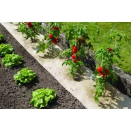 Talajtakaró 100 % természetes Nort Chanverlin 500 0,75x5 m