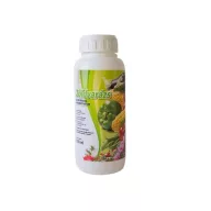 Concentrate of green leaf fertilizer (for 500 l water) 0,5 l
