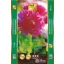 Potting soil PRÉMIUM General Sunin 50 l