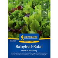 Baby salad Maraldi Mix Kiepenkerl 1-2 m2