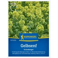   Mustard (Sinapis alba)-Green manure and beekeeper for 20 m2 Kiepenkerl
