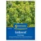 Mustard (Sinapis alba)-Green manure and beekeeper for 20 m2 Kiepenkerl