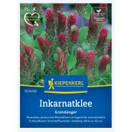   Bíborhere (Trifolium inc.)-Zöldtrágya és méhlegelő 25 m2-re Kiepenkerl