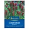 Bíborhere (Trifolium inc.)-Zöldtrágya és méhlegelő 25 m2-re Kiepenkerl