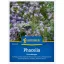 Mézontófű (Phacelia tan.)-Zöldtrágya és méhlegelő 25 m2-re Kiepenkerl