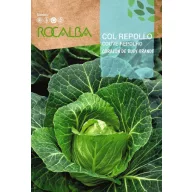 Káposzta Corazon De Buey Grande Rocalba 8 g