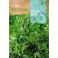 Rapini Cima Di Rapa (90 napos) Rocalba 10 g