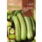 Cukkini Genovese (ECO) Rocalba 5 g