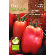 Paradicsom San Marzano Gigante 2 (ECO) Rocalba 0,5 g
