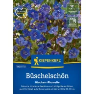 Phacélia Glocken cca. 60 db Kiepenkerl