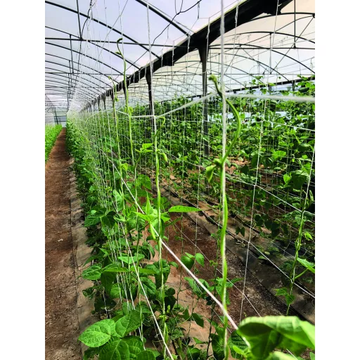 Növénytartó háló lebomló cellulózból Trellinet Compost 2x5 m
