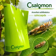   Csalomon-Amerikai szőlőkabóca (Scaphoideus titanus) színcsapda 10 db lap