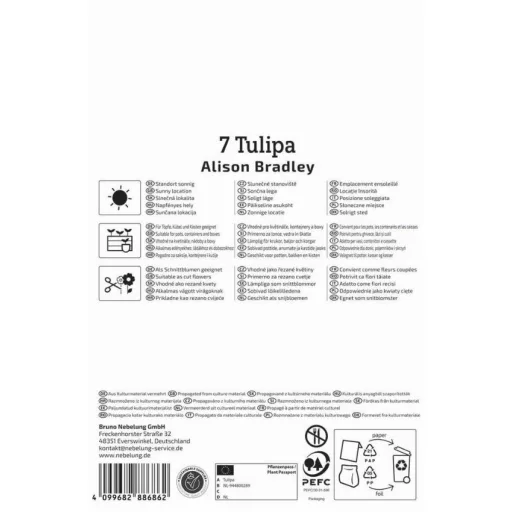 Virághagyma Tulipán Alison Bradley Kiepenkerl 7 db