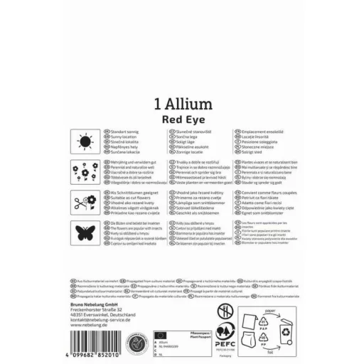 Virághagyma Díszhagyma (Allium) Red Eye Kiepenkerl 1 db