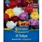 Virághagyma Tulipán Double Tulip Mix Megapack Kiepenkerl 15 db