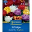 Virághagyma Tulipán Double Tulip Mix Megapack Kiepenkerl 15 db