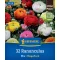 Virághagyma Boglárka (Ranunculus) Mix Megapack Kiepenkerl 32 db