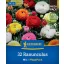 Virághagyma Boglárka (Ranunculus) Mix Megapack Kiepenkerl 32 db