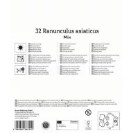   Virághagyma Boglárka (Ranunculus) Mix Megapack Kiepenkerl 32 db