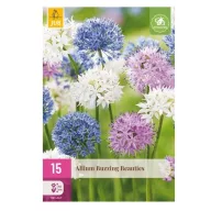 Virághagyma Díszhagyma (Allium) Buzzing Beauties 15 db JUB