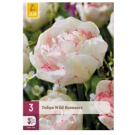 Virághagyma Tulipán Wild Romance 3 db JUB