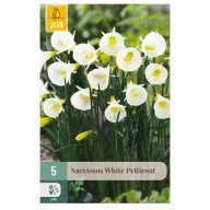 Virághagyma Nárciusz White Petticoat 5 db JUB
