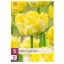 Virághagyma Tulipán Lemon Shoot 5 db JUB