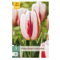 Virághagyma Tulipán Happy Generation 7 db JUB