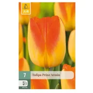 Virághagyma Tulipán Prinz Armin 7 db JUB
