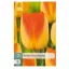 Virághagyma Tulipán Prinz Armin 7 db JUB