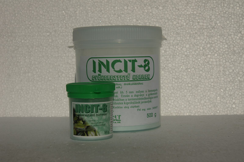 INCIT-8 gyökereztető por 50 g örökzöld