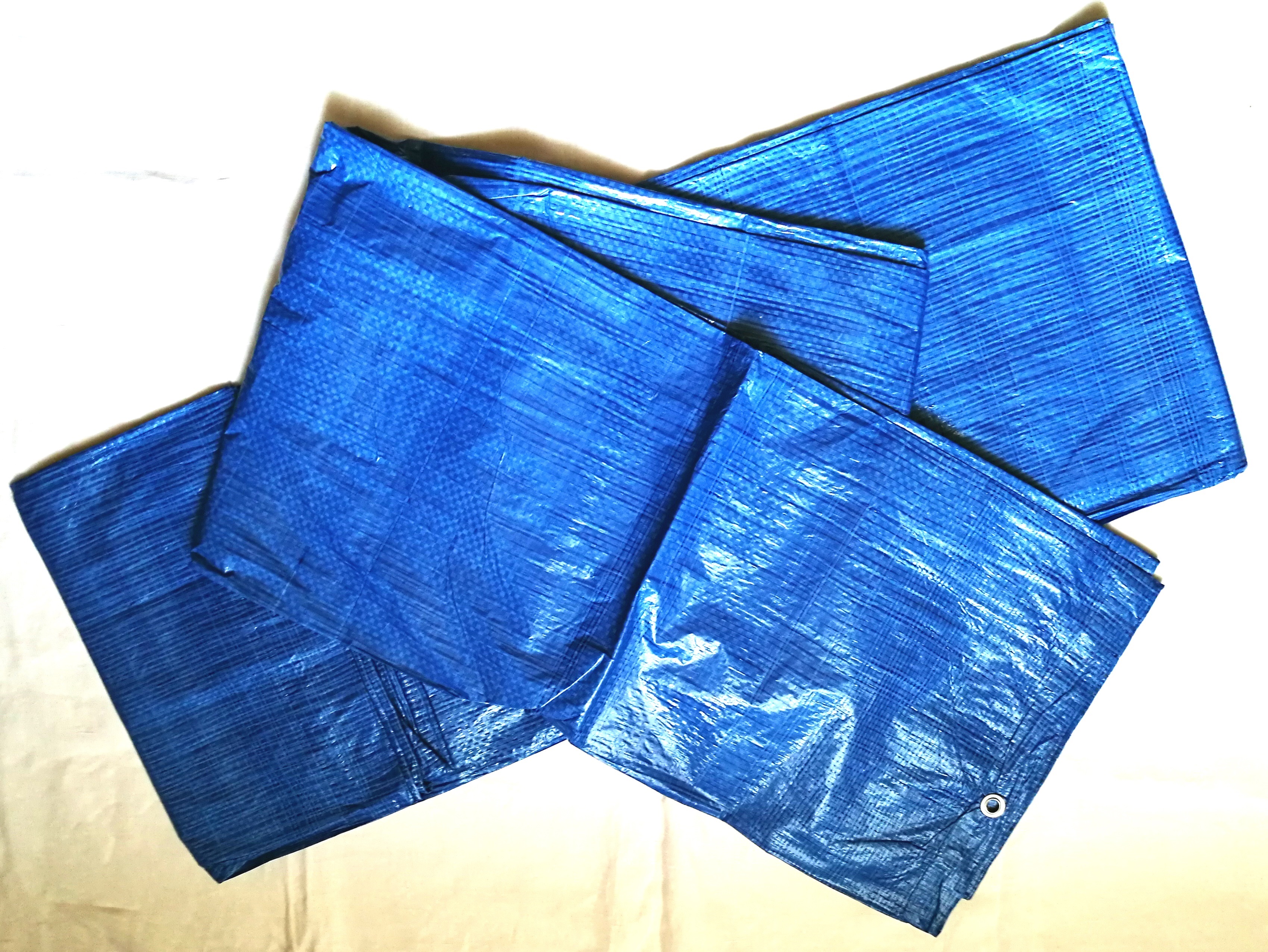 Blanket 50g/m2 10m x 12m (blue)