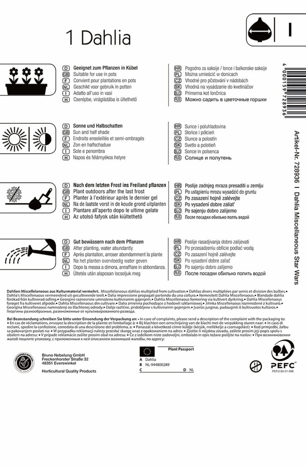 Bulb Dahlia Star Wars (yellow-orange) Kiepenkerl 1 pc