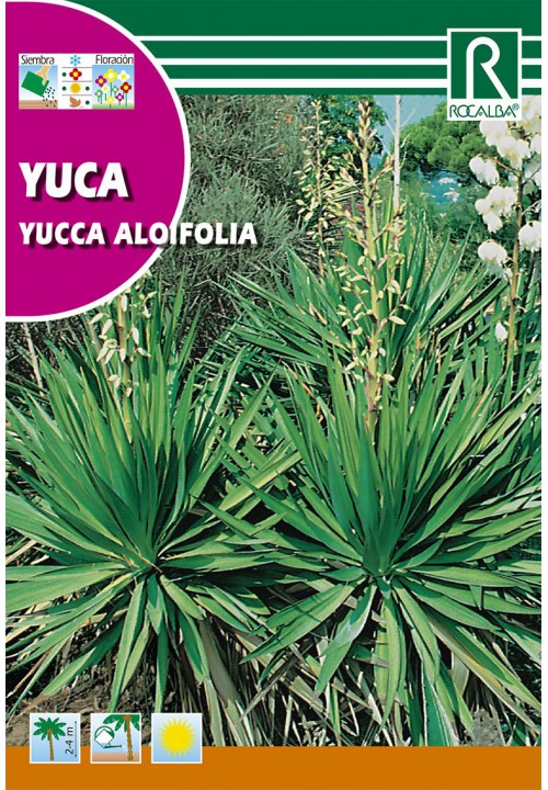 Yucca (Yucca aloifolia) Rocalba 0,2 g