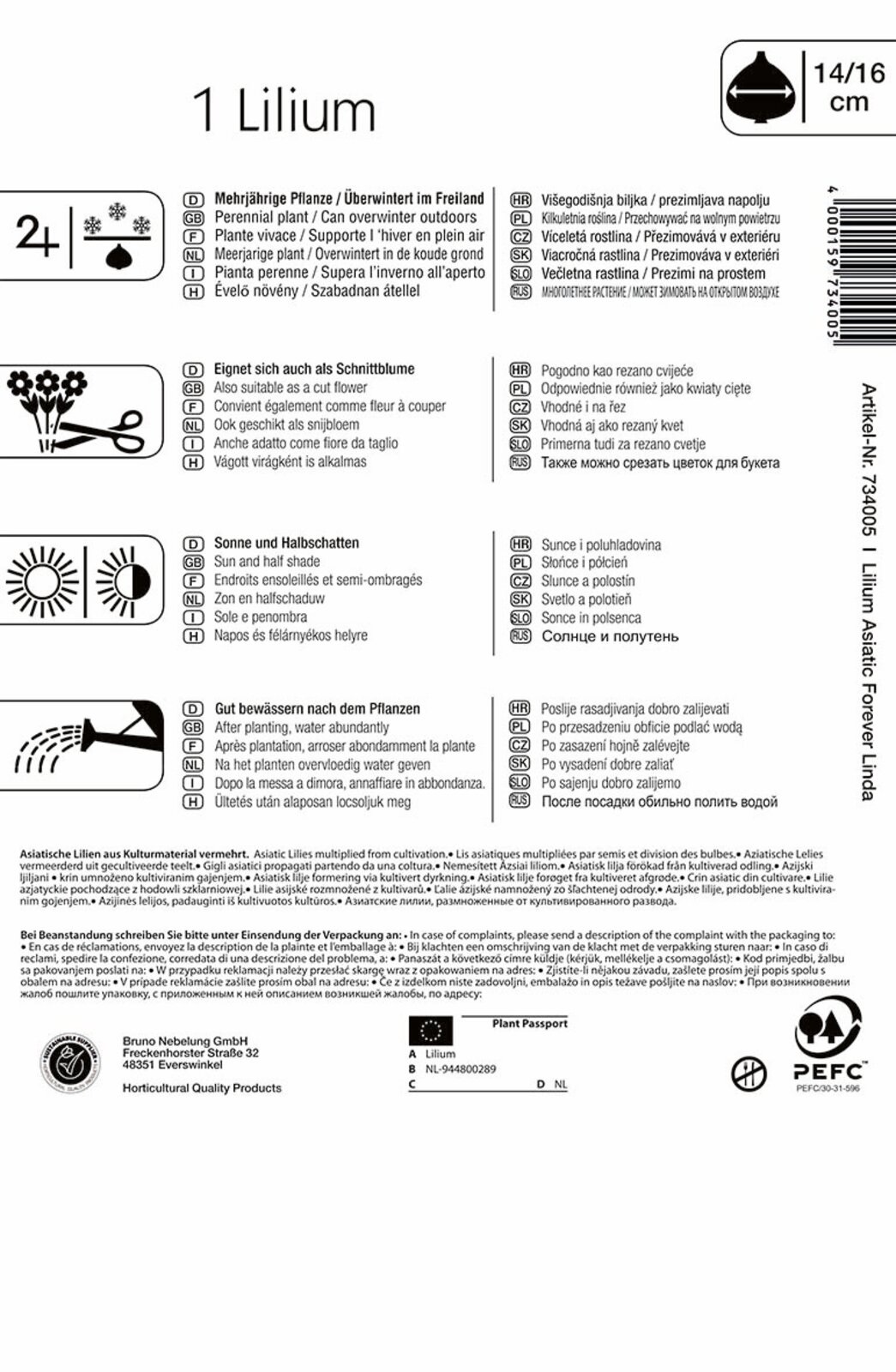 Virághagyma Liliom Forever Linda (korall-sárga) Kiepenkerl 1 db