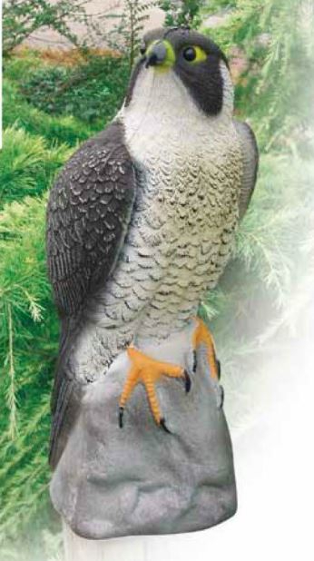 Bird alarm figure "Falcon"
