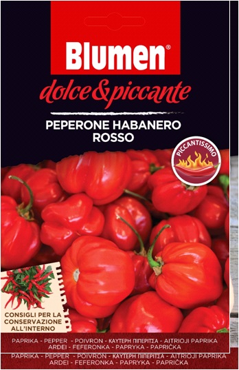 Red habanero pepper - extreme hot Flower (approx. 10-20 seeds)