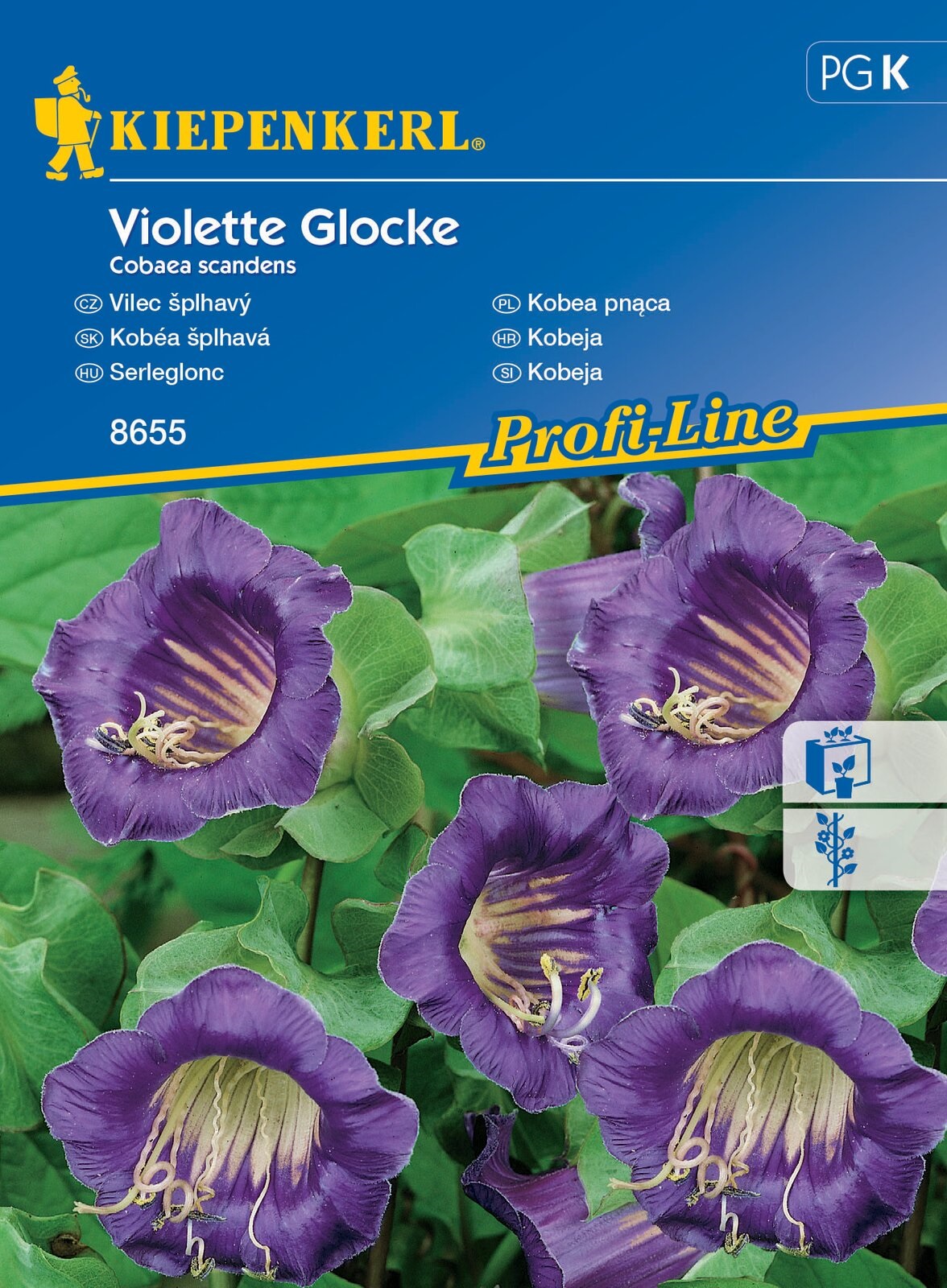 Serleglonc Violette Glocke 10 szem Kiepenkerl