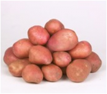 Potato seed tuber "Desirée" 50 pcs