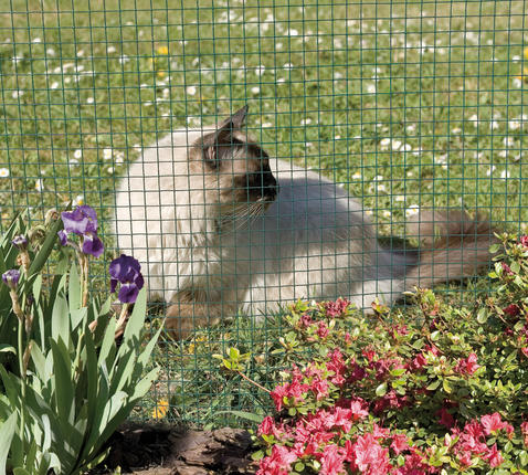 Poultry grid premium plastic coated Fensanet Plast 19 0,5x25m (19x19x0,7/1,1mm)