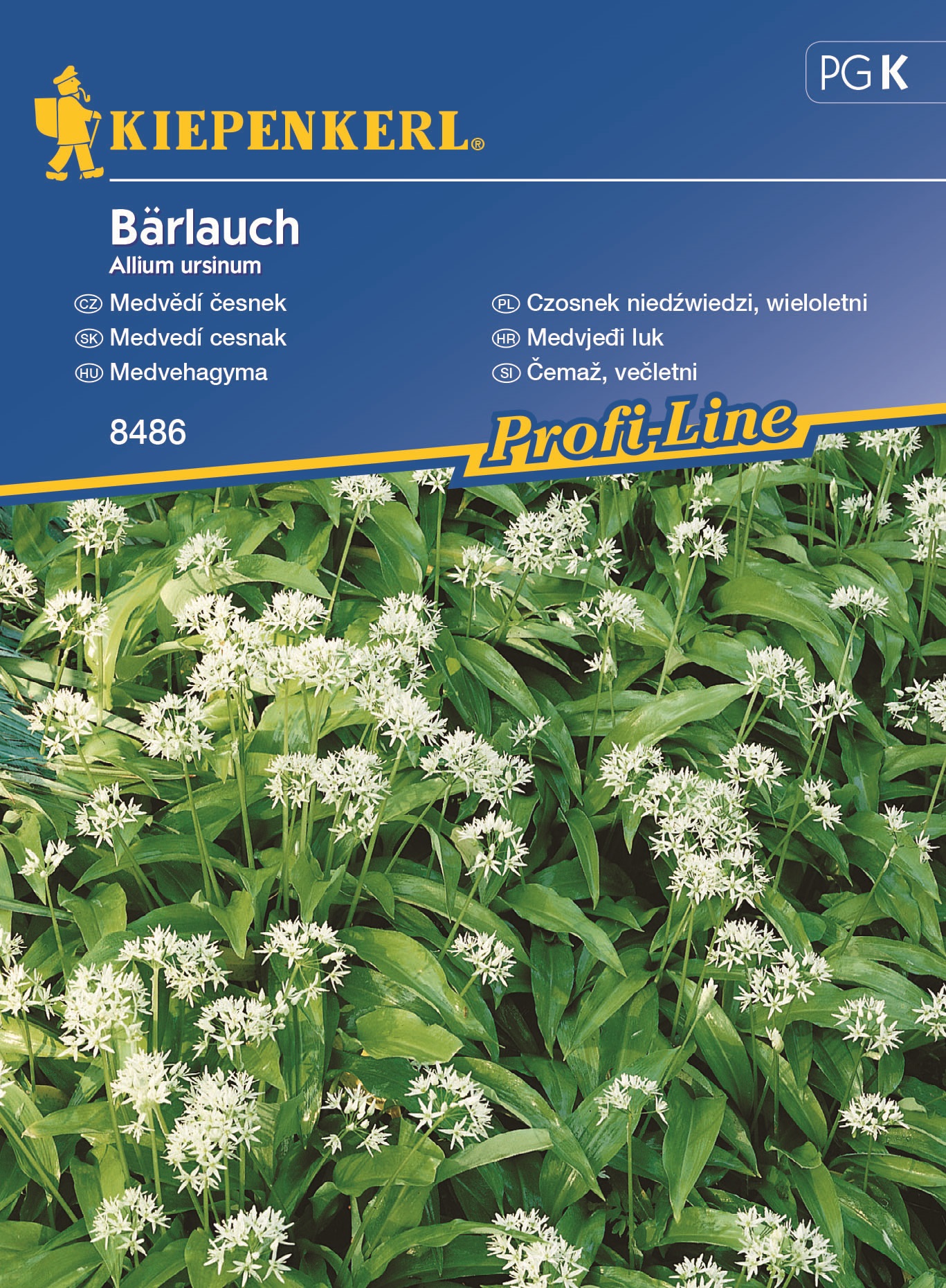 Medvehagyma Kiepenkerl kb. 35 szem