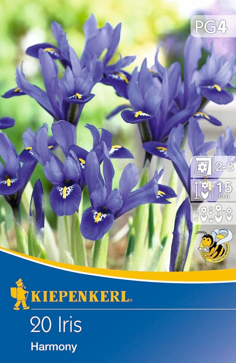 Flower Bulbs Women's Flower Harmony 20 pcs Kiepenkerl