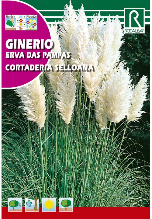 Pampafű (Cortaderia selloana) Rocalba 0,1 g