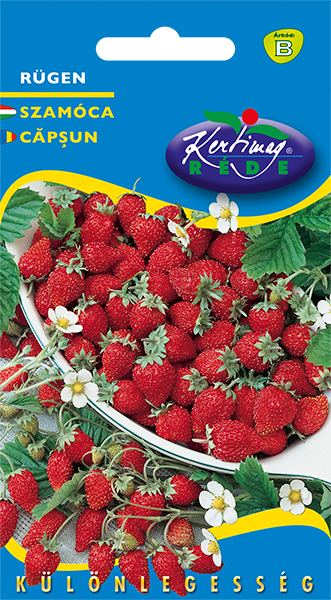 Strawberry Rügen 0,2 g