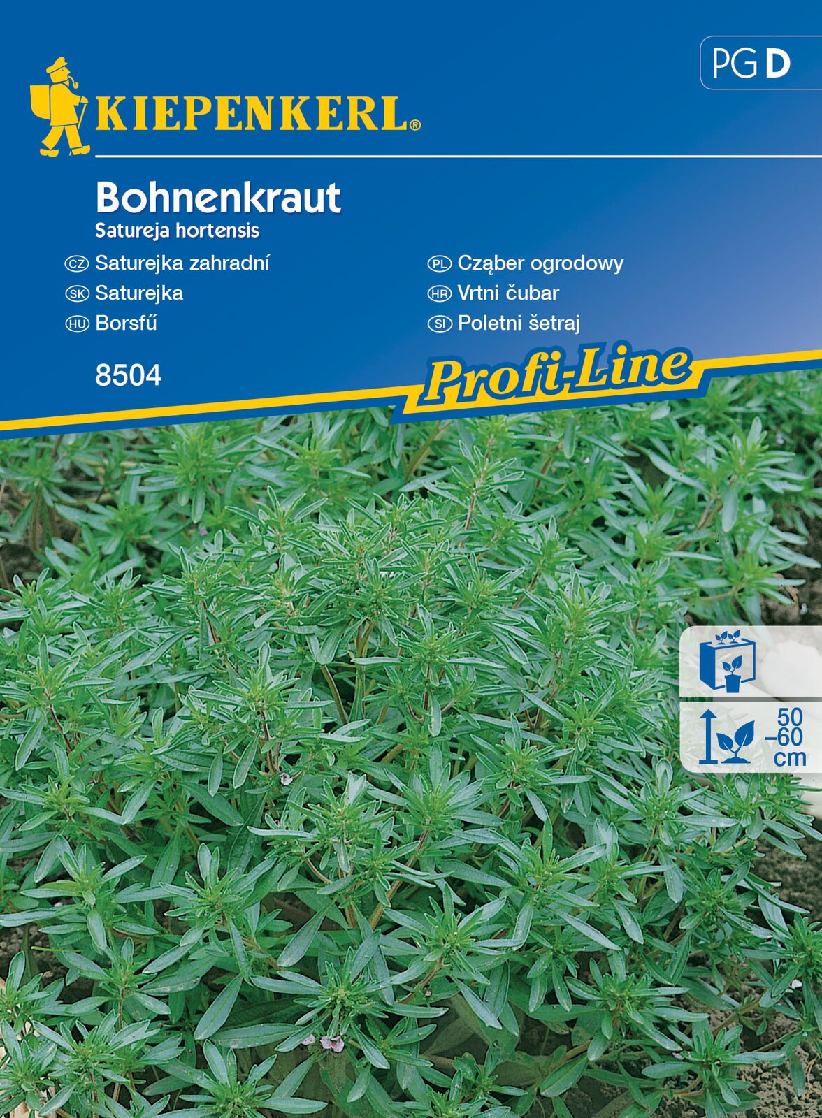 Peppermint Kiepenkel approx. 200 seeds